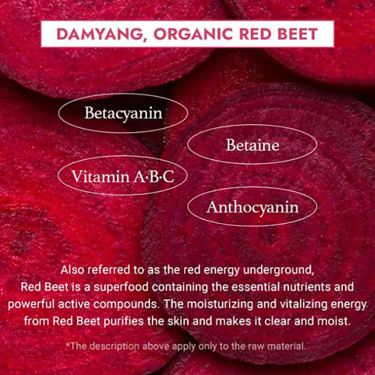 Beet Purifying Mask (Expiring 8/15/2026)