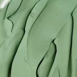 Expert Spirulina Cooling Modeling Mask