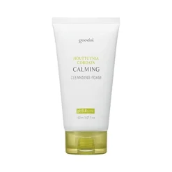 Houttuynia Cordata Calming Cleansing Foam