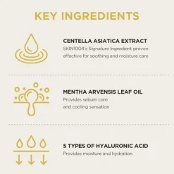 Madagascar Centella Watergel Sheet Ampoule Mask