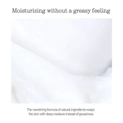 Nutrition Cream