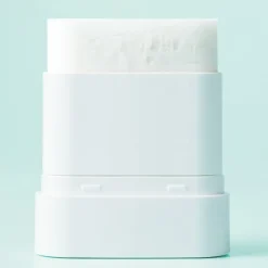 PDRN Spirulina Poreless Primer