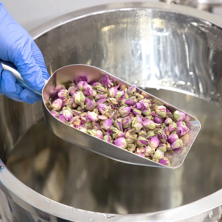 Reviving Rose Infusion Serum