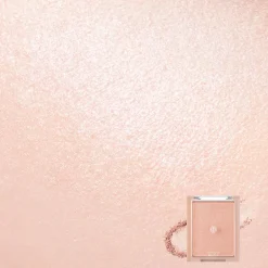 See-Through Veillighter