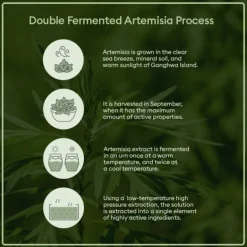 Time Revolution Artemisia Treatment Essence